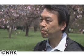 和田博幸 樹木医 になるには プロフィールや家族や年収は 仕事の流儀 一日一生 読むくすり お役立ち記事満載サイトへようこそ